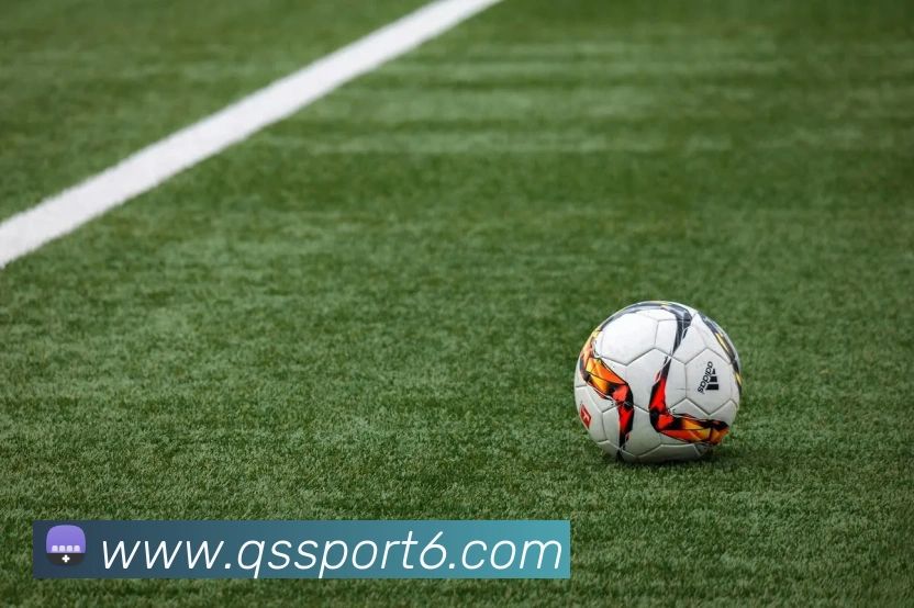 球速体育APP 封面图